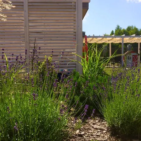 Dom wakacyjny Niebiańskie Zacisze-domki Z Sauną I Basenem *