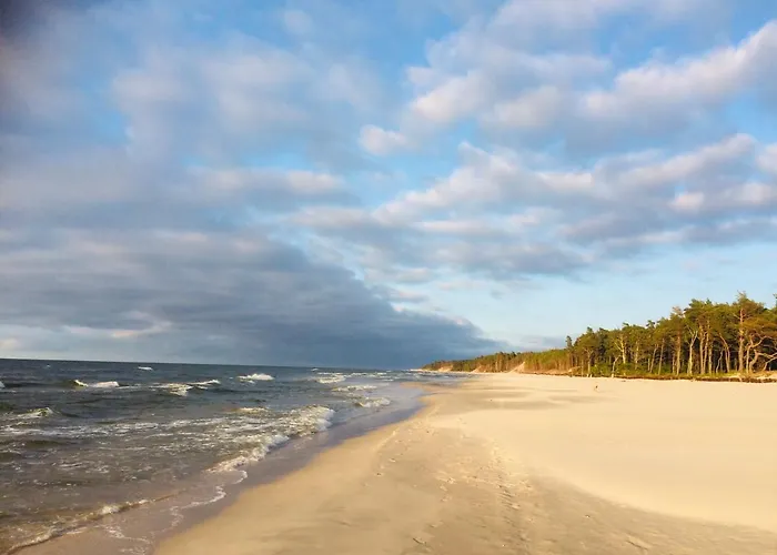 Niebianskie Zacisze-domki Z Sauna I Basenem *