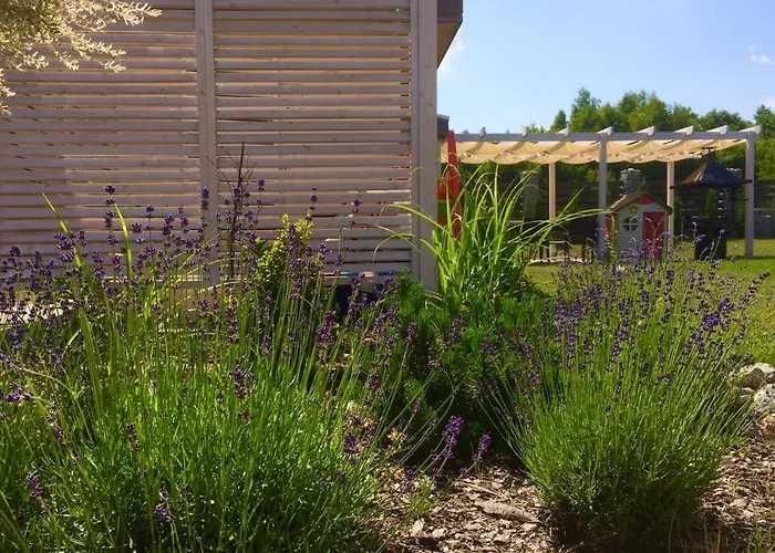 Semesterbostad Niebianskie Zacisze-domki Z Sauna I Basenem *